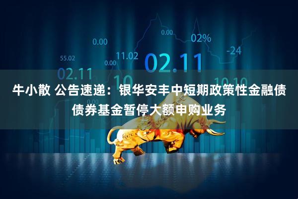 牛小散 公告速递：银华安丰中短期政策性金融债债券基金暂停大额申购业务