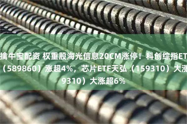 擒牛宝配资 权重股海光信息20CM涨停！科创综指ETF天弘（589860）涨超4%，芯片ETF天弘（159310）大涨超6%