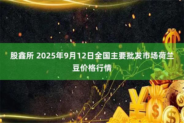 股鑫所 2025年9月12日全国主要批发市场荷兰豆价格行情