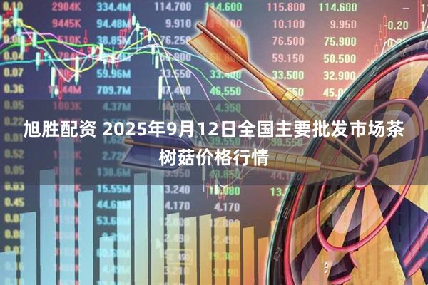 旭胜配资 2025年9月12日全国主要批发市场茶树菇价格行情