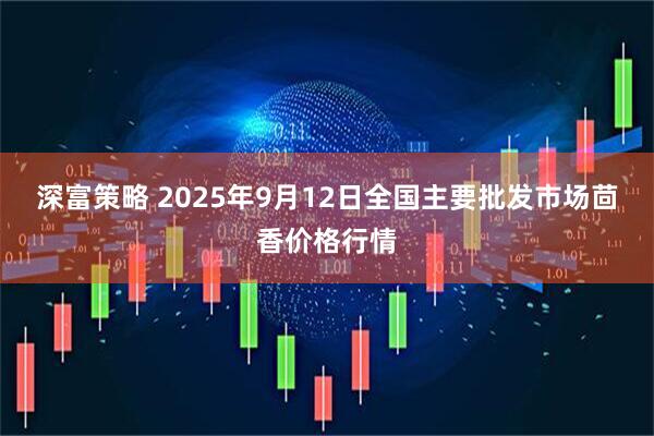 深富策略 2025年9月12日全国主要批发市场茴香价格行情
