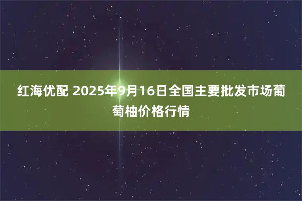 红海优配 2025年9月16日全国主要批发市场葡萄柚价格行情