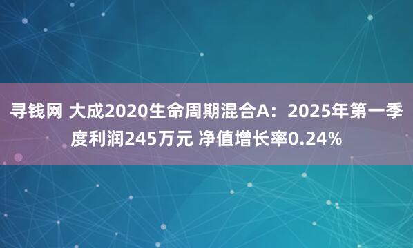 寻钱网 大成2020生命周期混合A：2025年第一季度利润245万元 净值增长率0.24%