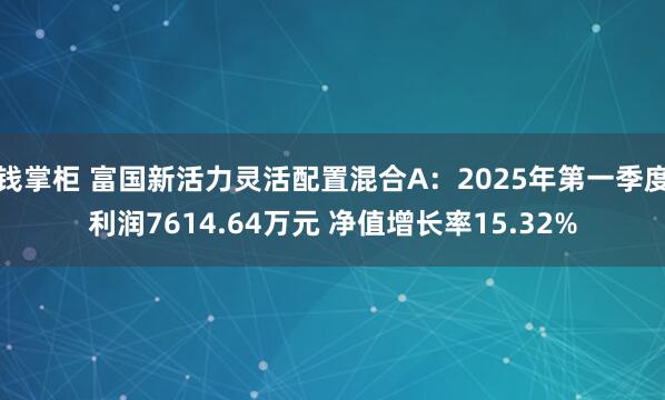 钱掌柜 富国新活力灵活配置混合A：2025年第一季度利润7614.64万元 净值增长率15.32%