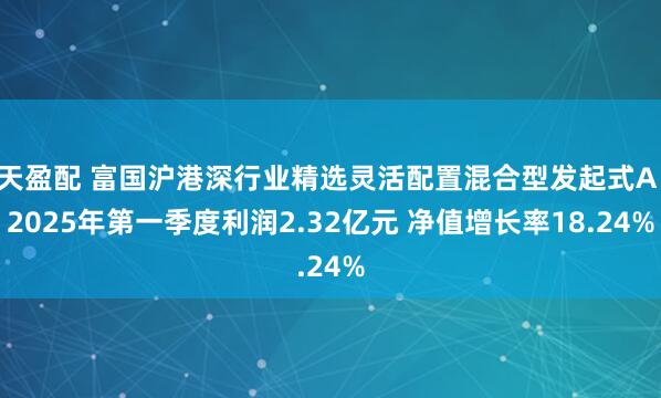 天盈配 富国沪港深行业精选灵活配置混合型发起式A：2025年第一季度利润2.32亿元 净值增长率18.24%