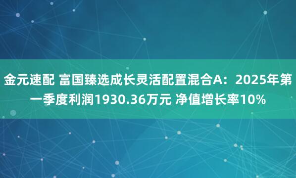 金元速配 富国臻选成长灵活配置混合A：2025年第一季度利润1930.36万元 净值增长率10%