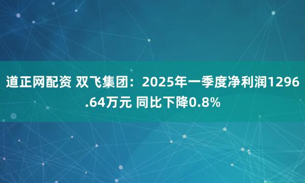 道正网配资 双飞集团：2025年一季度净利润1296.64万元 同比下降0.8%