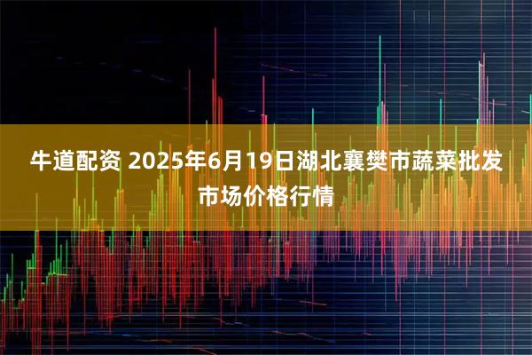 牛道配资 2025年6月19日湖北襄樊市蔬菜批发市场价格行情