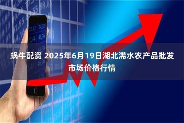 蜗牛配资 2025年6月19日湖北浠水农产品批发市场价格行情