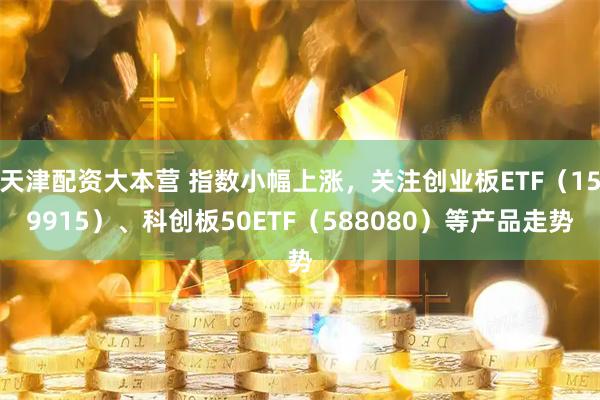 天津配资大本营 指数小幅上涨，关注创业板ETF（159915）、科创板50ETF（588080）等产品走势