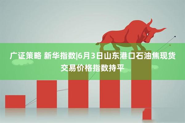 广证策略 新华指数|6月3日山东港口石油焦现货交易价格指数持平