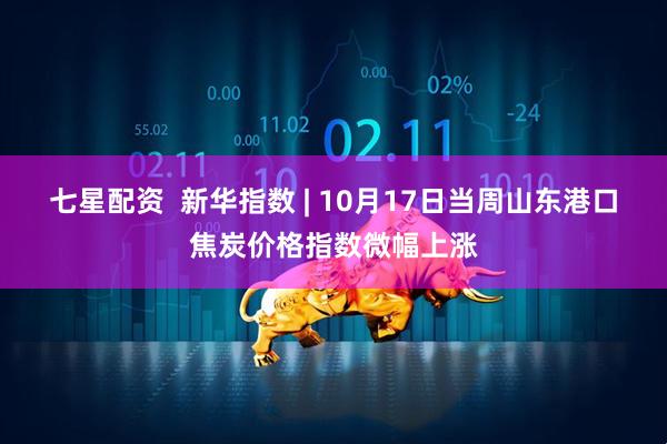 七星配资  新华指数 | 10月17日当周山东港口焦炭价格指数微幅上涨