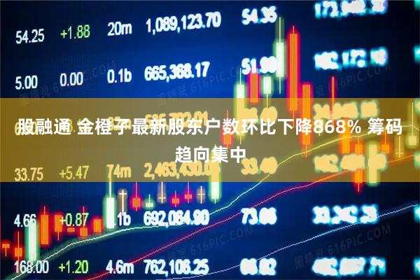 股融通 金橙子最新股东户数环比下降868% 筹码趋向集中