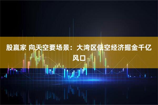 股赢家 向天空要场景：大湾区低空经济掘金千亿风口