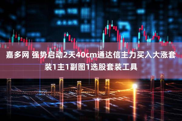 嘉多网 强势启动2天40cm通达信主力买入大涨套装1主1副图1选股套装工具