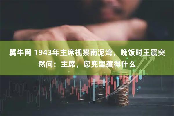 翼牛网 1943年主席视察南泥湾，晚饭时王震突然问：主席，您兜里藏得什么